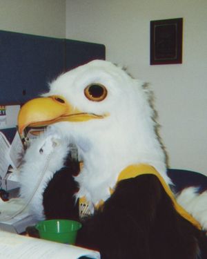 Image post by @fgcu on Instagram