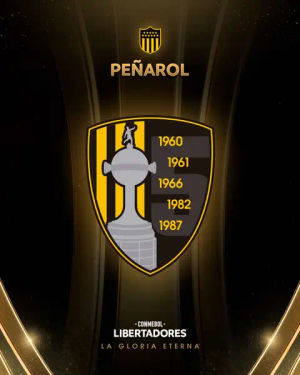 Image post by @libertadoresbr on TikTok