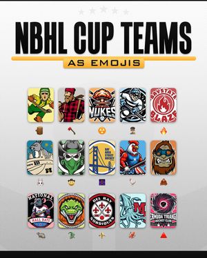 Image post by @nationalballhockeyleague on Instagram