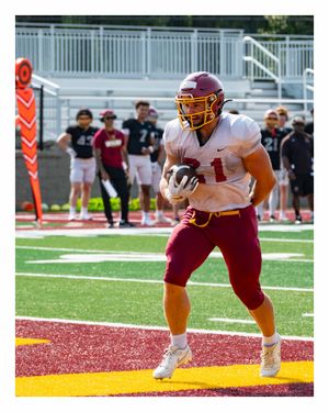 Image post by @nsuwolvesfootball on Instagram