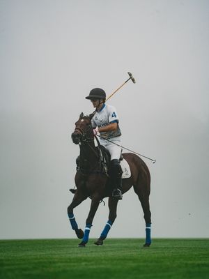 Image post by @greenwichpoloclub on Instagram