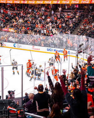 Image post by @anaheimducks on Instagram