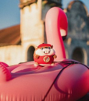 Image post by @bucees on Instagram