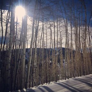 Image post by @beavercreek on Instagram