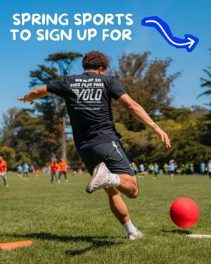 Image post by @voloboston on Instagram