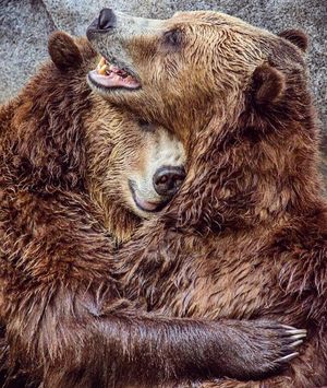 Image post by @sandiegozoo on Instagram