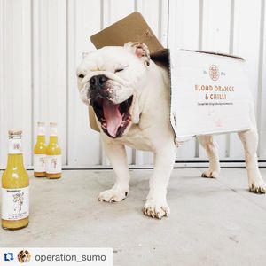 Image post by @lovestrangelove on Instagram