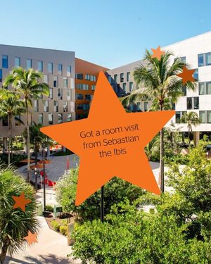 Image post by @univmiami on Instagram