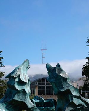 Image post by @usfca on Instagram