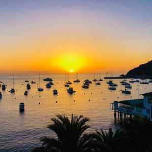 Image post by @auroracatalinaisland on Instagram
