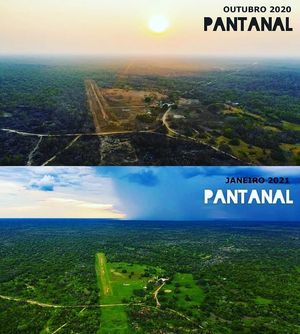 Image post by @operitoambiental on Instagram