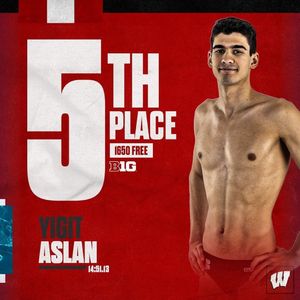 Image post by @badgerswimdive on Instagram