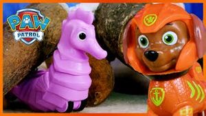 Video post by @pawpatrolofficial on YouTube