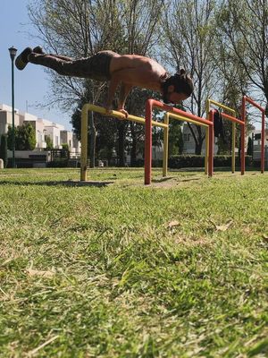 Image post by @soyvikguga on Instagram