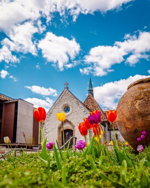 Image post by @marquetteu on Instagram