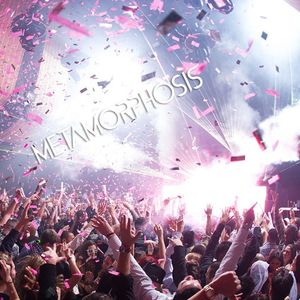 Image post by @marqueelv on Instagram
