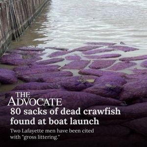 Image post by @theadvocatebr on Instagram