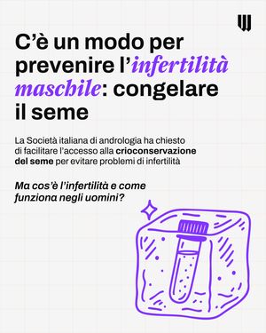 Image post by @will_ita on Instagram