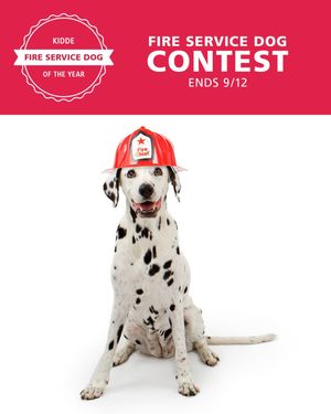 Image post by @kiddefiresafety on Instagram