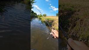 Video post by @jonasederfishing on YouTube