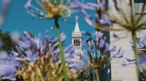 Image post by @ucberkeleylife on Instagram
