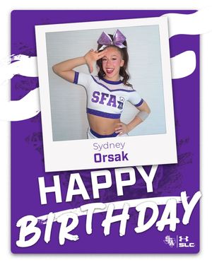 Image post by @sfa_cheer_ on Instagram
