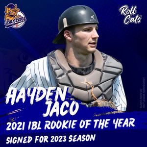 Image post by @IBLBaycats on Twitter