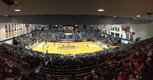 Image post by @gobonnies on Instagram