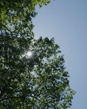 Image post by @sethdough on Instagram