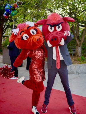 Image post by @HogsPlus on Twitter