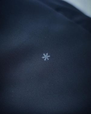 Image post by @samsungcanada on Instagram