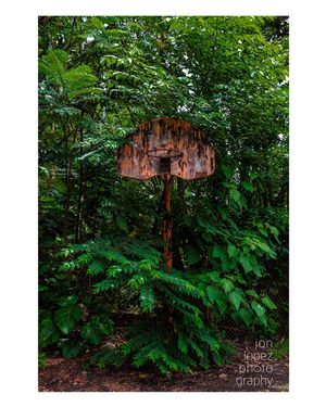Image post by @jonlopez13 on Instagram