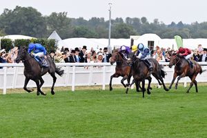 Image post by @godolphin on Instagram