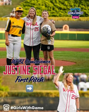 Image post by @littleleague on Instagram