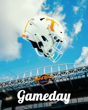 Image post by @orangebowl on Instagram