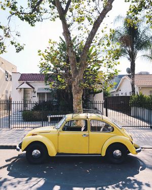 Image post by @kirstenalana on Instagram