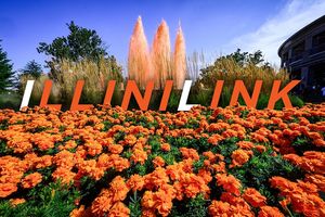 Image post by @illinois_alumni on Instagram