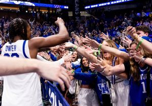 Image post by @_teamwildcat on Instagram