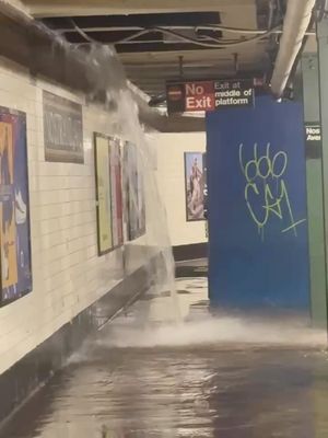 Image post by @whatisnewyork on Instagram