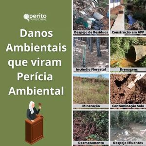 Image post by @operitoambiental on Instagram