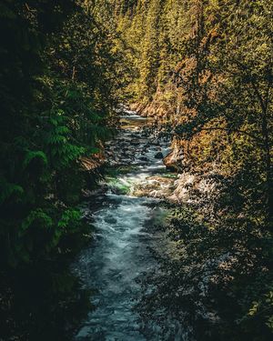 Image post by @lathanuelf_photos on Instagram