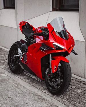 Image post by @panigalers on Instagram
