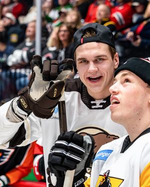 Image post by @thehersheybears on Instagram