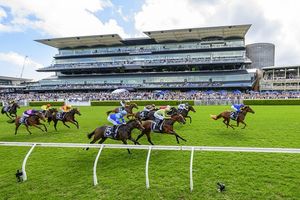 Image post by @godolphin on Instagram