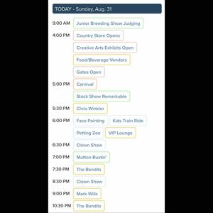 Image post by @fayettecofairtx on Instagram