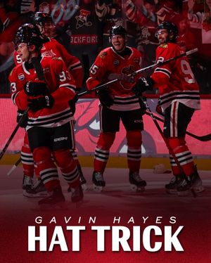 Image post by @rockfordicehogs on Instagram