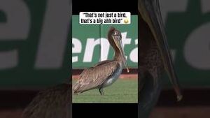 Video post by @bleacherreport on YouTube