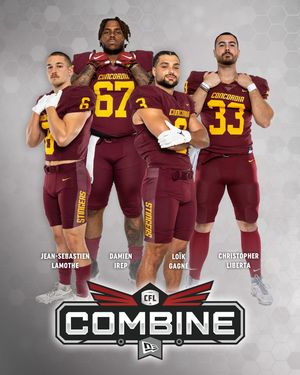Image post by @the_stingers on Instagram