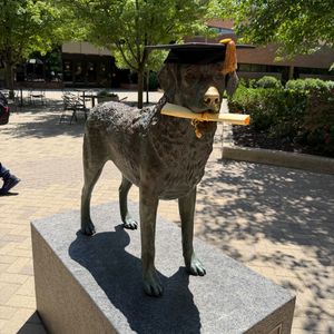 Image post by @umbclife on Instagram