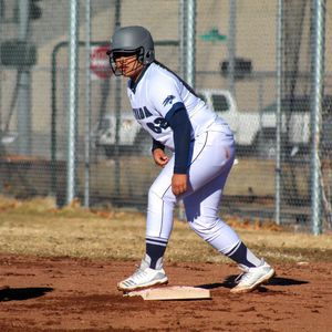 Image post by @nevada_softball on Instagram